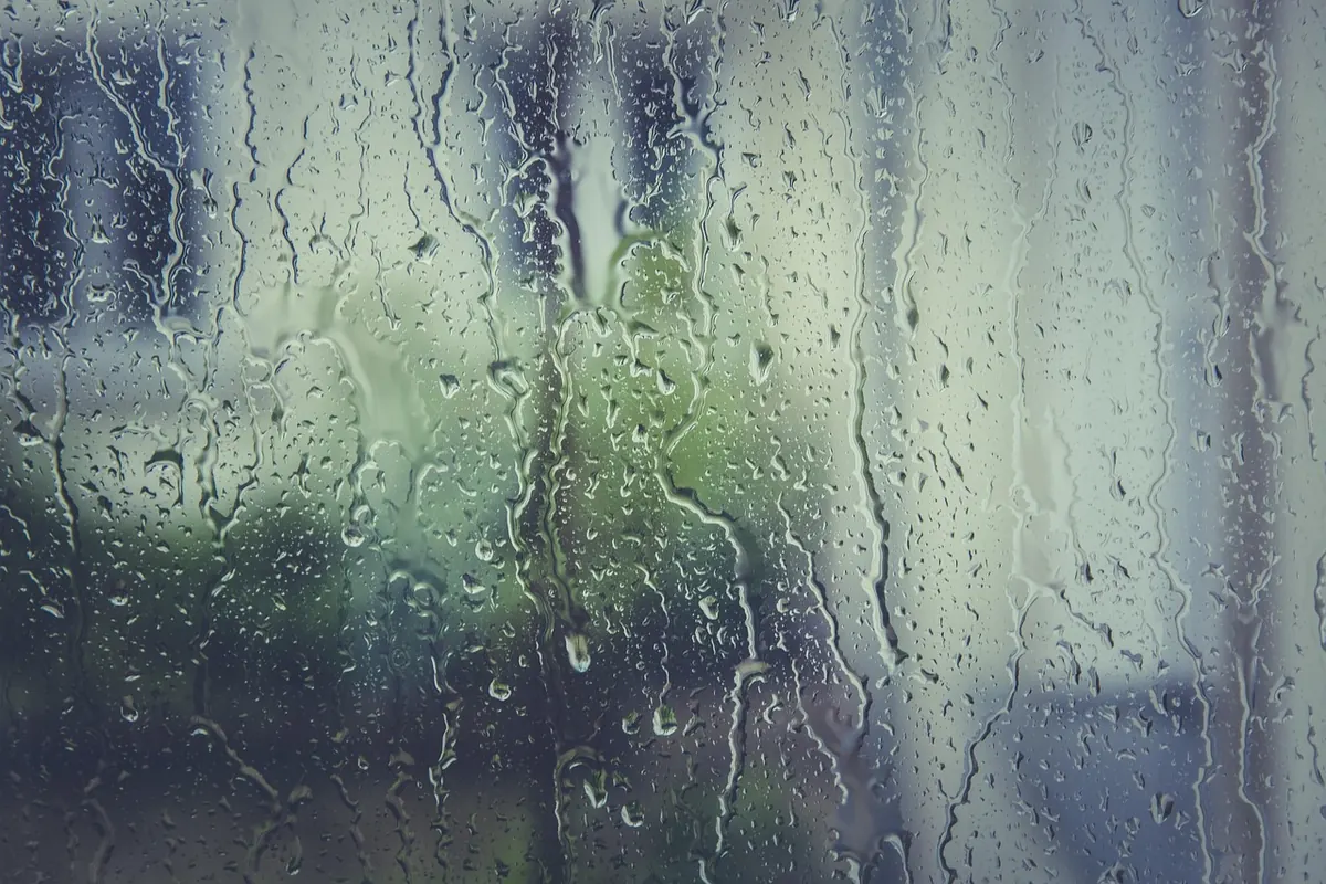 A Seasonal Checklist for Keeping Home Windows Clear and Condensation-Free
